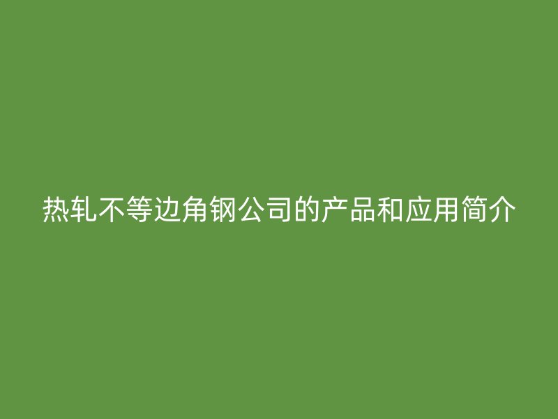 熱軋不等邊角鋼公司的產(chǎn)品和應(yīng)用簡介