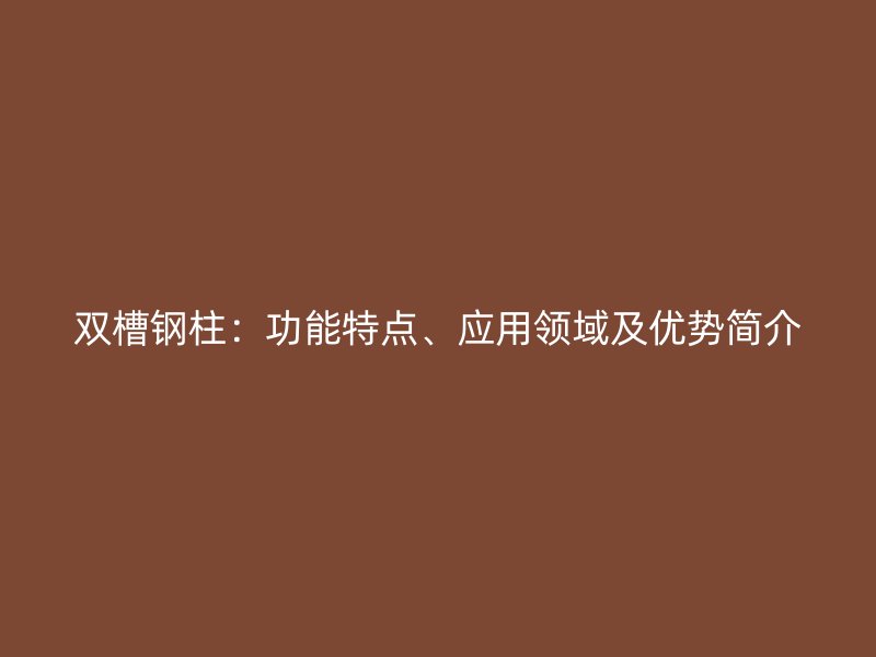 雙槽鋼柱：功能特點(diǎn)、應(yīng)用領(lǐng)域及優(yōu)勢(shì)簡(jiǎn)介