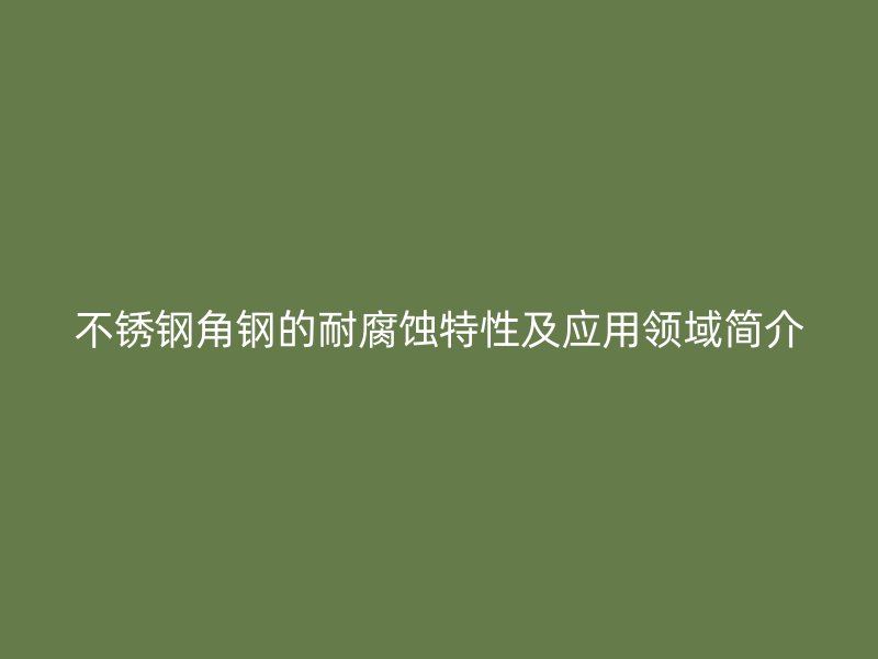 不銹鋼角鋼的耐腐蝕特性及應(yīng)用領(lǐng)域簡(jiǎn)介