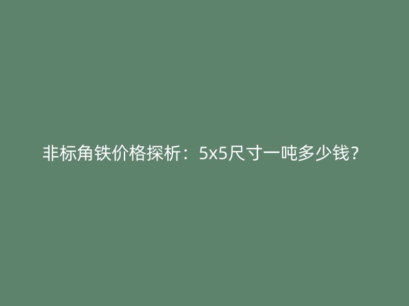非標(biāo)角鐵價格探析：5x5尺寸一噸多少錢？