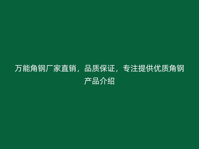 萬(wàn)能角鋼廠家直銷，品質(zhì)保證，專注提供優(yōu)質(zhì)角鋼產(chǎn)品介紹
